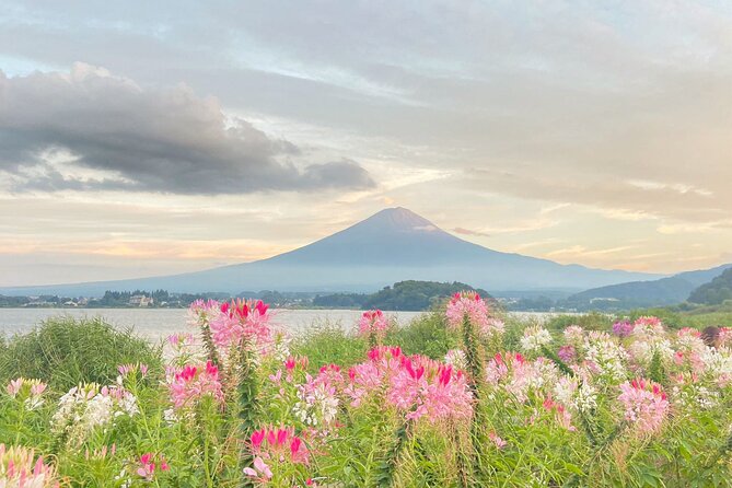 Mount Fuji/Hakone/Tokyo Private Charter Car Tour 10 Hours - Inclusions and Fees