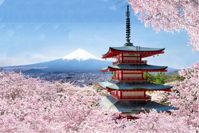Mount Fuji/Hakone/Tokyo Private Charter Car Tour 10 Hours - Option for Additional Areas