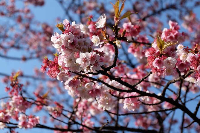 Mount Fuji/Hakone/Tokyo Private Charter Car Tour 10 Hours - Pickup and Drop-off Details
