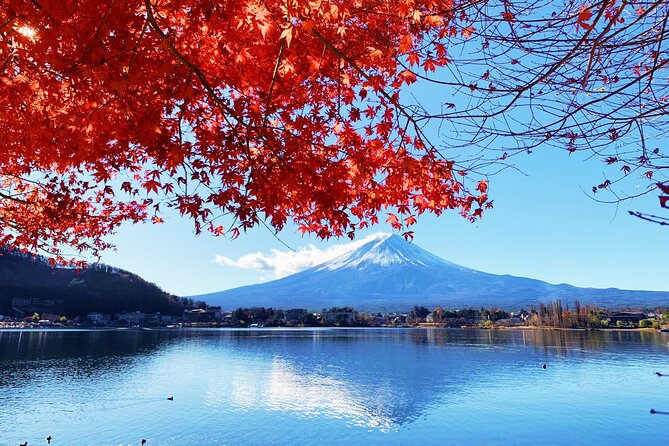Mount Fuji/Hakone/Tokyo Private Charter Car Tour 10 Hours - Tour Duration and Logistics
