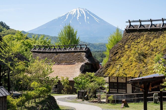 Mount Fuji/Hakone/Tokyo Private Charter Car Tour 10 Hours - Confirmation and Accessibility