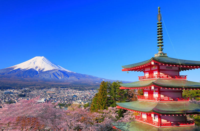 Mount Fuji Hakone with Cable Car | Owakudani & Hakone Shrine & Lawson Convenience Store & Hikawa Clock Shop & Asama Park Day Trip (Departing from Tokyo) - A quick stop at Lawson or 7-Eleven
