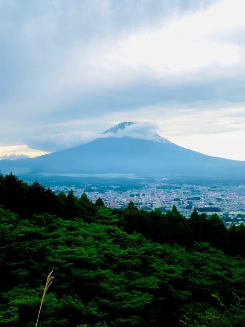 Mount Fuji Hakone with English-speaking Guide - Why This Tour Stands Out
