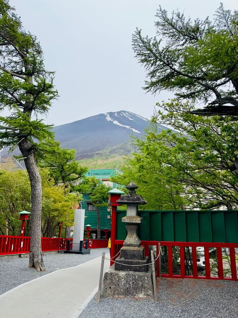 Mount Fuji Hakone with English-speaking Guide - Practical Details and Considerations