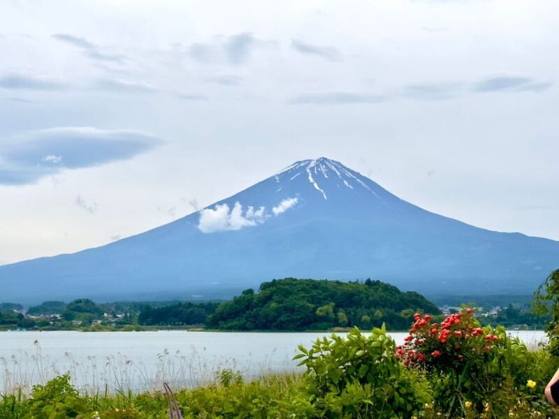 Mount Fuji Hakone with English-speaking Guide - What You Can Expect from This Mount Fuji and Hakone Tour