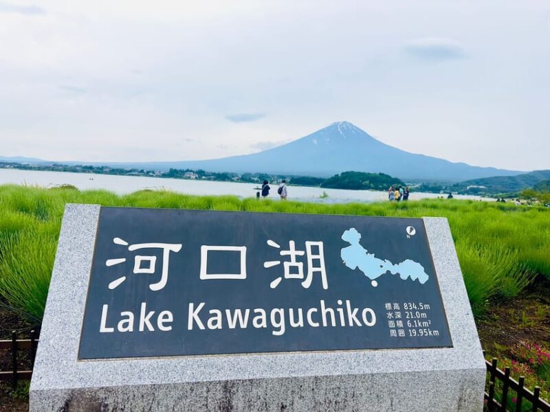 Mount Fuji Hakone with English-speaking Guide - Important Considerations