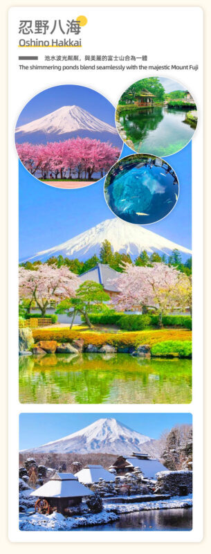 Mount Fuji Healing Tour | Lunch Optional: Arakurayama Sengen Park Pagoda & Oshino Hakkai & Lake Kawaguchiko Oishi Park & Saiko Iyashi no Sato Nenba Day Trip (From Tokyo) - The pace, the guide and the road