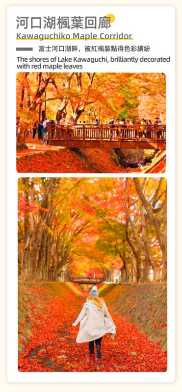 Mount Fuji Healing Tour | Lunch Optional: Arakurayama Sengen Park Pagoda & Oshino Hakkai & Lake Kawaguchiko Oishi Park & Saiko Iyashi no Sato Nenba Day Trip (From Tokyo) - Practical details before you book