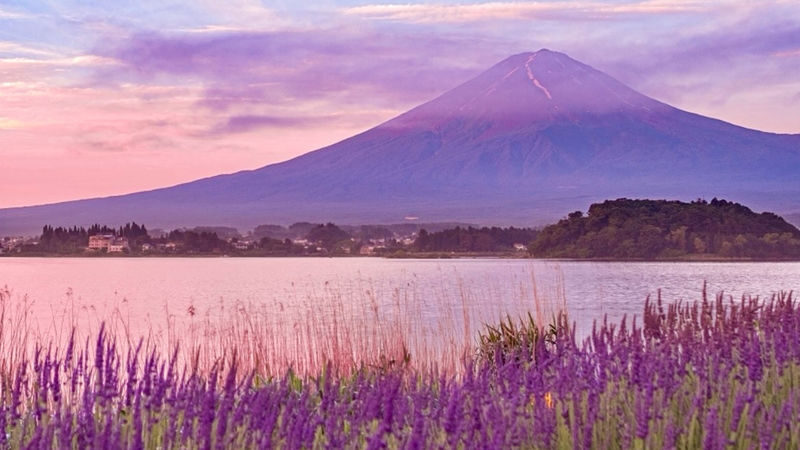 Mount Fuji Hirano Lakeside & Lake Yamanaka Stroll / KABA Amphibious Bus & Lake Kawaguchiko Experience Day Trip - Hikawa Clock Shop: Fuji at the end of the street