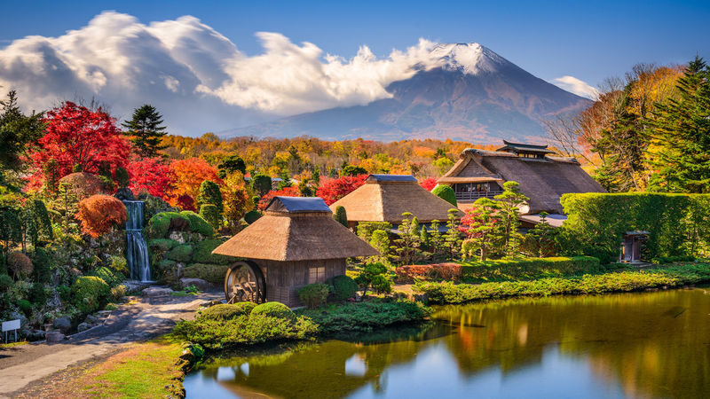 Mount Fuji Hirano Lakeside & Lake Yamanaka Stroll / KABA Amphibious Bus & Lake Kawaguchiko Experience Day Trip - What the price buys, and what it doesn’t