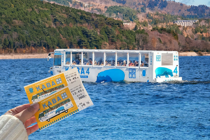 Mount Fuji Hirano Lakeside & Lake Yamanaka Stroll / KABA Amphibious Bus & Lake Kawaguchiko Experience Day Trip - Who should book this Mount Fuji day trip?