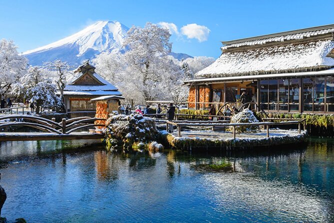 Mount Fuji & Hokane Lakes With English-Speaking Guide - How to Book