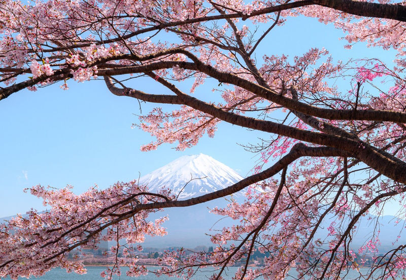 Mount Fuji Internet Celebrity Twin Lakes Check-in] Lake Kawaguchiko & Lake Yamanakako & Oshino Hakkai & Arakurayama Sengen Park & Hinokawashi Clock Shop & Lawson Convenience Store One-Day Tour (Departing from Tokyo) - Lunch and Oshino Hakkai’s spring water
