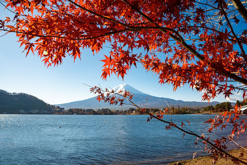 Mount Fuji Internet Celebrity Twin Lakes Check-in] Lake Kawaguchiko & Lake Yamanakako & Oshino Hakkai & Arakurayama Sengen Park & Hinokawashi Clock Shop & Lawson Convenience Store One-Day Tour (Departing from Tokyo) - Lawson, Oishi Park, and the second lake