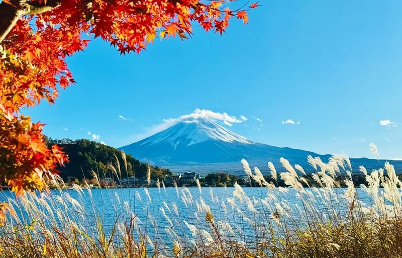 Mount Fuji & Kamakura 2-Day Tour (From Tokyo) Accommodation not included - Two days out from Tokyo, with a night back in town
