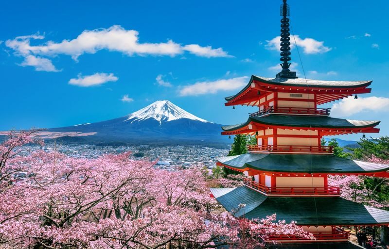 Mount Fuji & Kamakura 2-Day Tour (From Tokyo) Accommodation not included - Guides, group size and the pace of the day