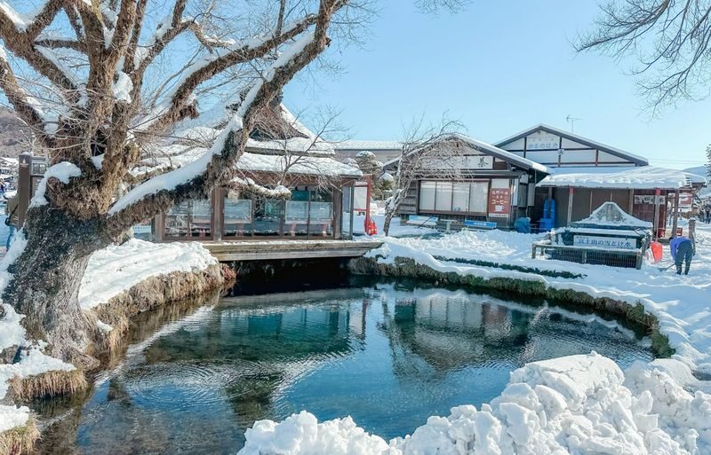 Mount Fuji & Kamakura 2-Day Tour (From Tokyo) Accommodation not included - Should you book this Mount Fuji and Kamakura tour?