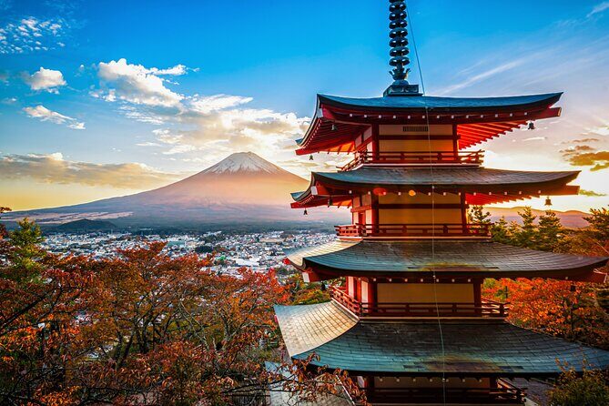 Mount Fuji Kawagoe and Hikawa Shrine Day Trip - Good To Know