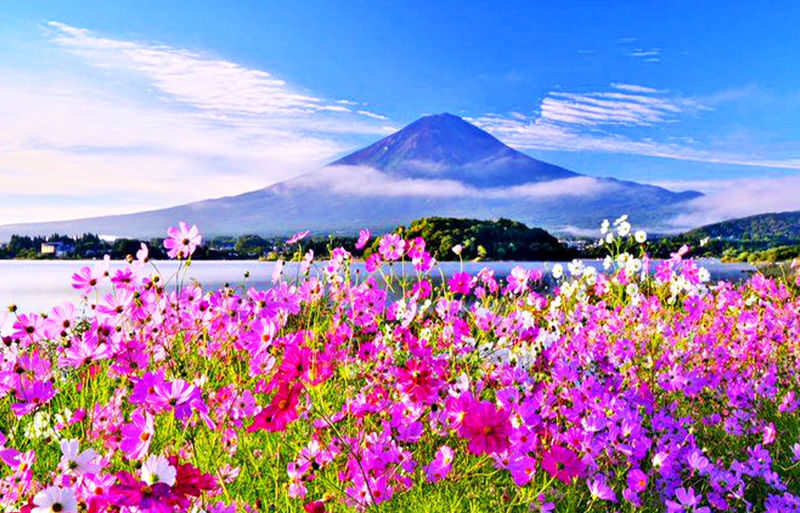 Mount Fuji Kawaguchiko Four Seasons Flower Sea: Arakurayama Sengen Park & Hikawa Clock Shop & Oshino Hakkai & Lawson Photo Spot (Departing from Tokyo) - Oshino Hakkai: clear water and village details