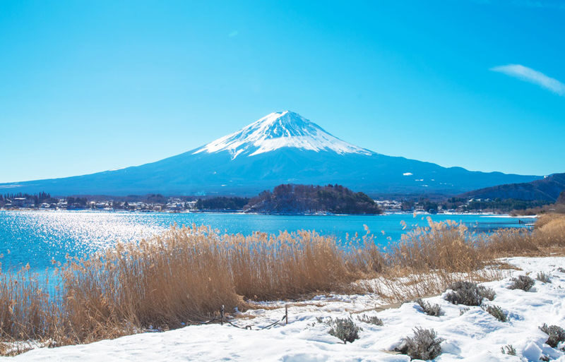 Mount Fuji Kawaguchiko Four Seasons Flower Sea: Arakurayama Sengen Park & Hikawa Clock Shop & Oshino Hakkai & Lawson Photo Spot (Departing from Tokyo) - Oishi Park: flowers with Fuji across the lake