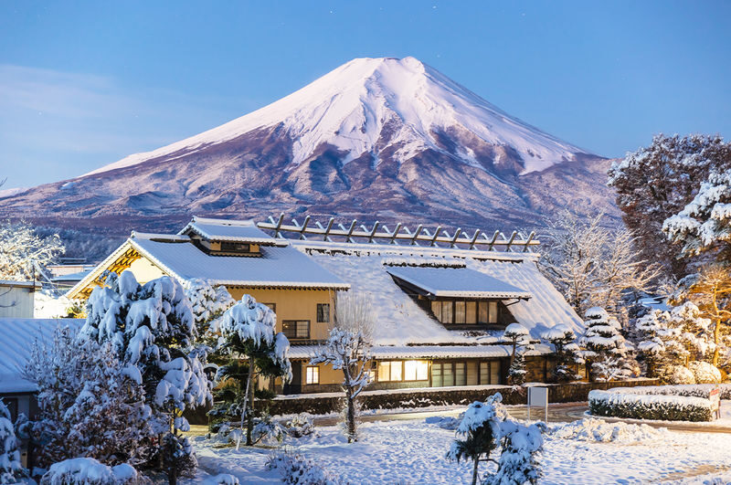 Mount Fuji Kawaguchiko Four Seasons Flower Sea: Arakurayama Sengen Park & Hikawa Clock Shop & Oshino Hakkai & Lawson Photo Spot (Departing from Tokyo) - What the price buys, and what it does not
