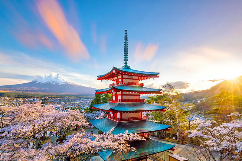 Mount Fuji Kawaguchiko Panoramic View & Tenjo-yama Park with Free Cable Car Ticket & Arakurayama Sengen Park & Hikawa Clock Shop & Lawson Convenience Store & Oishi Park One-Day Tour (Departing from Tokyo) - A full day built around Mount Fuji