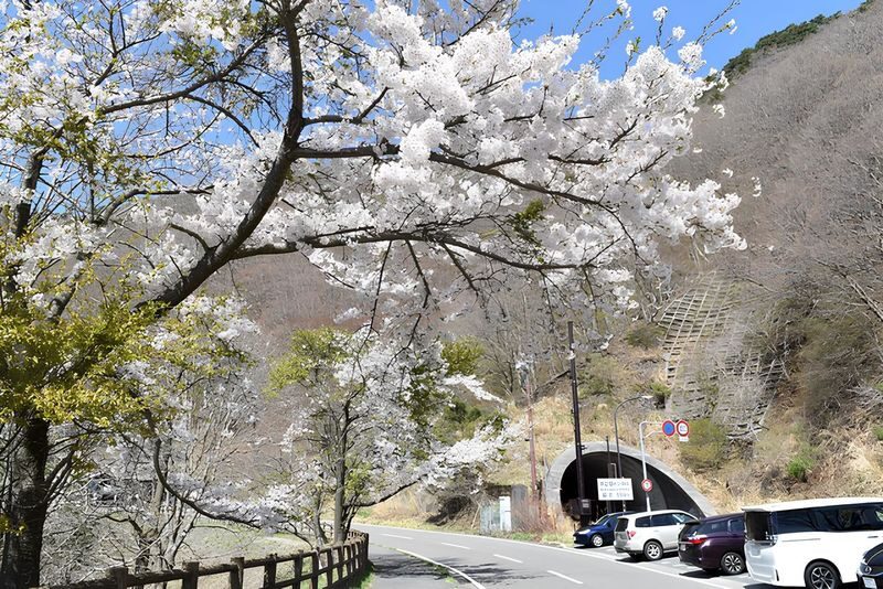 Mount Fuji Koan Campground 2 Days 1 Night Camping Experience - Why Koan makes a good base for a first camping night