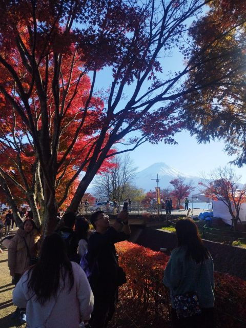 Mount Fuji-Lake Kawaguchi Private Tour With Bilingual Driver - Common Questions