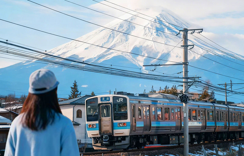 Mount Fuji, Lake Kawaguchi sightseeing train, fruit picking, and Oishi Park day trip - The useful details at a glance