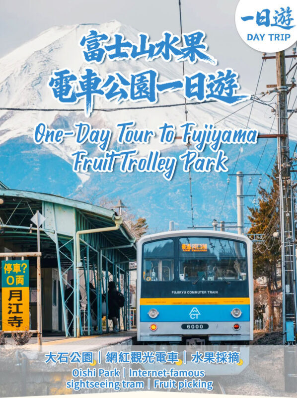 Mount Fuji, Lake Kawaguchi sightseeing train, fruit picking, and Oishi Park day trip - A Fuji day built around changing seasons