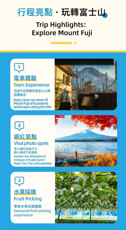 Mount Fuji, Lake Kawaguchi sightseeing train, fruit picking, and Oishi Park day trip - A brief ride on the Fujisan sightseeing train