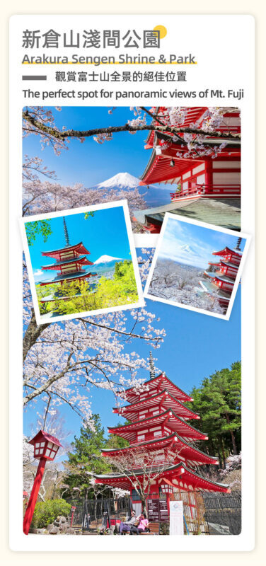 Mount Fuji, Lake Kawaguchi sightseeing train, fruit picking, and Oishi Park day trip - Fruit picking: seasonal, hands-on, and variable
