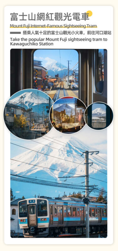 Mount Fuji, Lake Kawaguchi sightseeing train, fruit picking, and Oishi Park day trip - What the $49.29 starting price buys