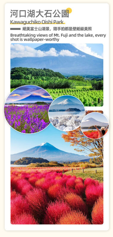 Mount Fuji, Lake Kawaguchi sightseeing train, fruit picking, and Oishi Park day trip - Who should book this day trip?