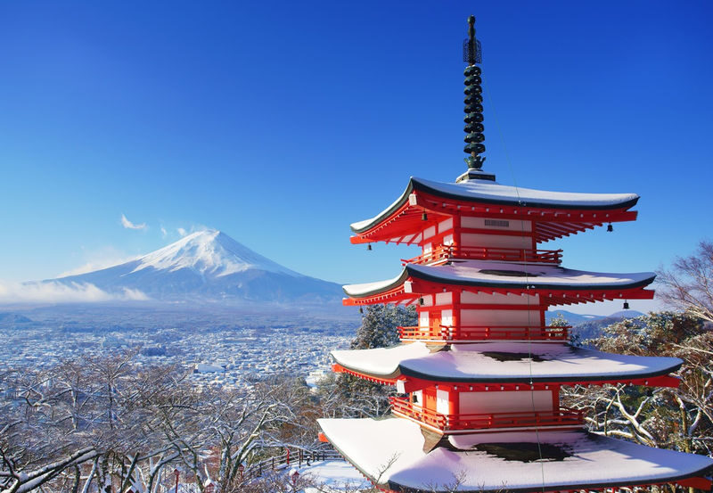Mount Fuji & Lake Kawaguchiko tour with Ropeway experience - Lunch: keep the break simple