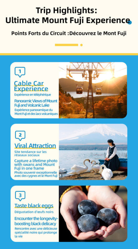 Mount Fuji & Lake Yamanaka & Hakone Owakudani tour (from Tokyo) - Lake Ashi: optional pirate ship, included ropeway