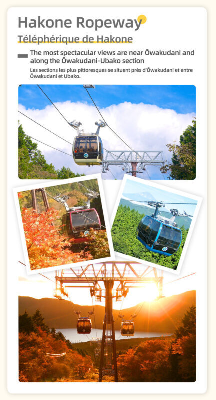 Mount Fuji & Lake Yamanaka & Hakone Owakudani tour (from Tokyo) - What the bus and guide add