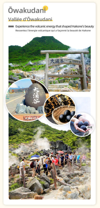 Mount Fuji & Lake Yamanaka & Hakone Owakudani tour (from Tokyo) - Price, extras, and what the cost buys