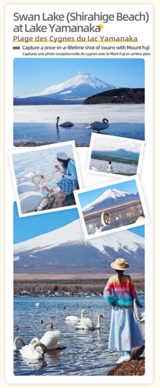Mount Fuji & Lake Yamanaka & Hakone Owakudani tour (from Tokyo) - Weather, timing, and a few useful preparations
