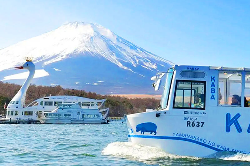 Mount Fuji Lake Yamanaka KABA Amphibious Bus/Swan Boat & Hirano Beach & Lake Kawaguchi Oishi Park & Oshino Hakkai Day Trip | Departure from Tokyo - What to know before you book