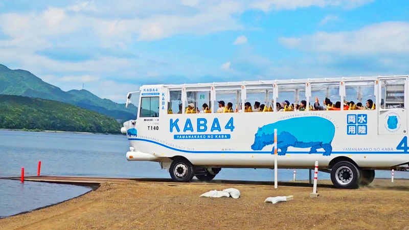 Mount Fuji Lake Yamanaka KABA Amphibious Bus/Swan Boat & Hirano Beach & Lake Kawaguchi Oishi Park & Oshino Hakkai Day Trip | Departure from Tokyo - Lake Yamanaka: choose a ride or keep it simple