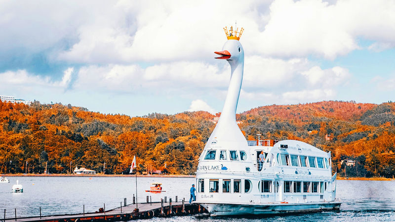 Mount Fuji Lake Yamanaka KABA Amphibious Bus/Swan Boat & Hirano Beach & Lake Kawaguchi Oishi Park & Oshino Hakkai Day Trip | Departure from Tokyo - Oishi Park: flowers beside Lake Kawaguchi