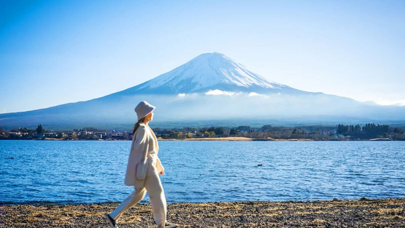 Mount Fuji Lake Yamanaka KABA Amphibious Bus/Swan Boat & Hirano Beach & Lake Kawaguchi Oishi Park & Oshino Hakkai Day Trip | Departure from Tokyo - Is this Fuji day trip good value?