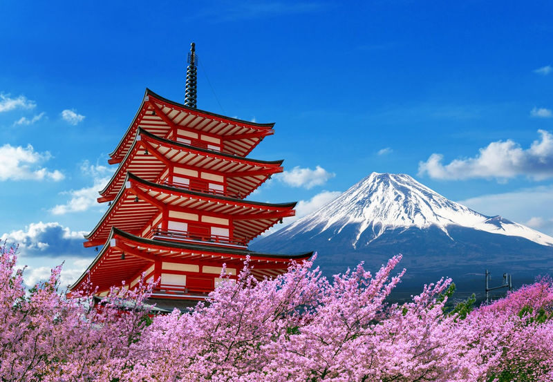 Mount Fuji Lake Yamanaka Small Group Day Tour (Driver-Guide Service, including Hotel Pick-up and Drop-off) - Booking details to keep in mind