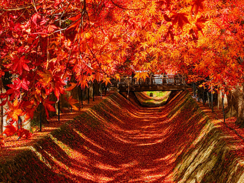 Mount Fuji Lawson Check-in Twin Lakes Day Tour-Departing from Tokyo: Lake Yamanaka & Lake Kawaguchiko Autumn Leaves Corridor & Narusawa Ice Cave & Handicraft Experience (Lunch upgradeable to Kobe beef, etc.) - Lake Kawaguchi: the longest pause of the day