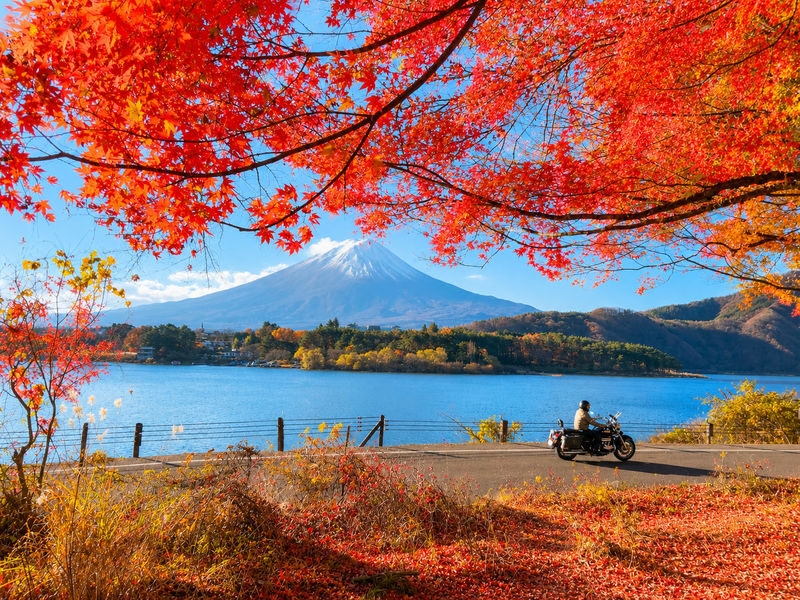 Mount Fuji Lawson Check-in Twin Lakes Day Tour-Departing from Tokyo: Lake Yamanaka & Lake Kawaguchiko Autumn Leaves Corridor & Narusawa Ice Cave & Handicraft Experience (Lunch upgradeable to Kobe beef, etc.) - Lake Yamanaka: more room, swans, and a shorter visit