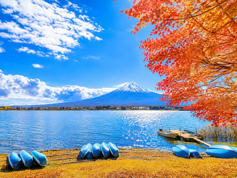 Mount Fuji Lawson Check-in Twin Lakes Day Tour-Departing from Tokyo: Lake Yamanaka & Lake Kawaguchiko Autumn Leaves Corridor & Narusawa Ice Cave & Handicraft Experience (Lunch upgradeable to Kobe beef, etc.) - Lunch, Kobe beef, and the optional handicraft activity