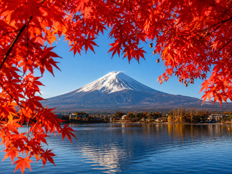Mount Fuji Lawson Check-in Twin Lakes Day Tour-Departing from Tokyo: Lake Yamanaka & Lake Kawaguchiko Autumn Leaves Corridor & Narusawa Ice Cave & Handicraft Experience (Lunch upgradeable to Kobe beef, etc.) - Price and value: compare the package, not just the starting figure