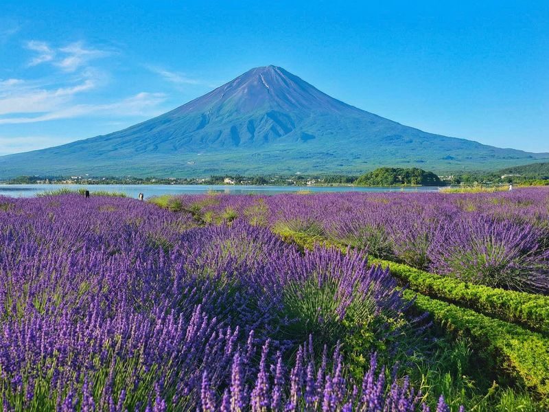 Mount Fuji Magnificent Scenery Exploration Day Tour: Arakurayama Sengen Park & Kawaguchiko Oishi Park & Oshino Hakkai & INS Famous Lawson & Hikawa Clock Shop (Departing from Tokyo) - The Lawson photo stop