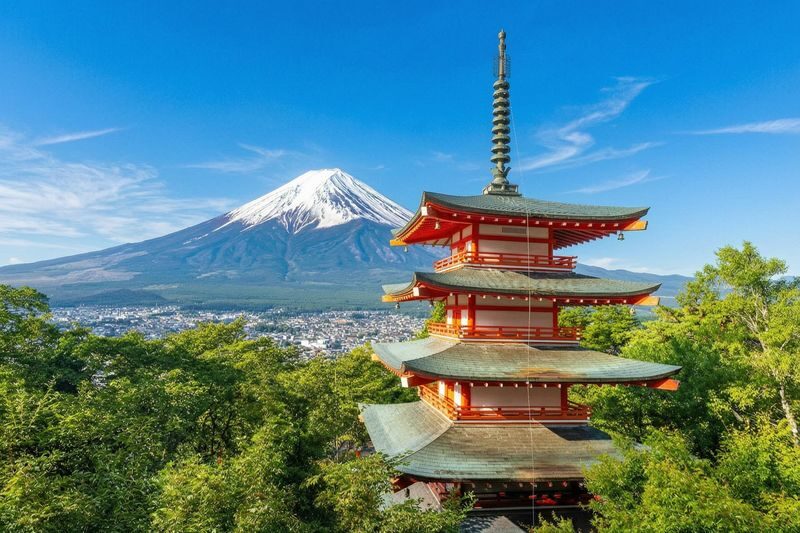 Mount Fuji Magnificent Scenery Exploration Day Tour: Arakurayama Sengen Park & Kawaguchiko Oishi Park & Oshino Hakkai & INS Famous Lawson & Hikawa Clock Shop (Departing from Tokyo) - Lake Yamanaka and its swans